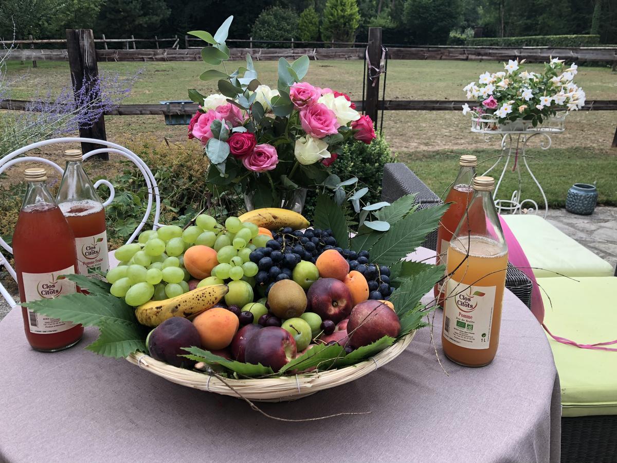 Domaine Du Vertbois La Haye-du-Theil Eksteriør billede